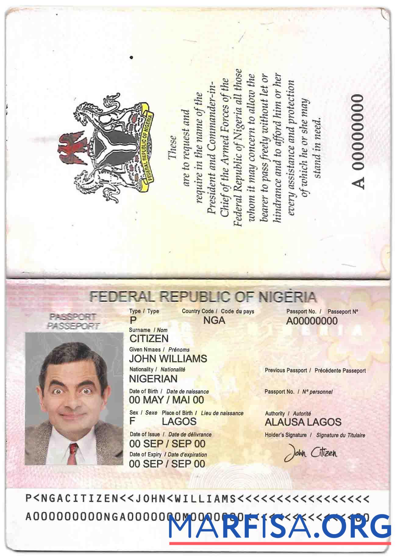 Downloadable Nigeria passport (2007 2019) download for verification